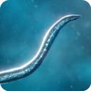 细菌虫下载_孢子模拟器手机版v55.70免费app下载