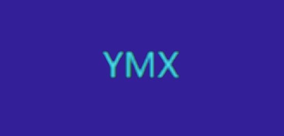 YMX是什么币种?YMX/亚马逊币全面