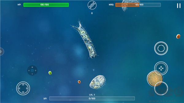 孢子模拟器手机版