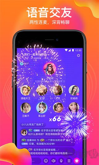 vv语音下载_vv语音v4.5.0免费版软件下载