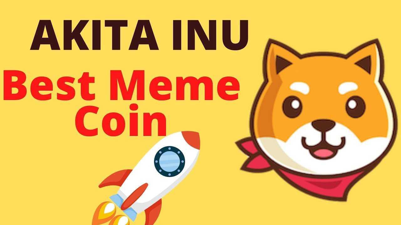 AKITA币未来前景怎么样?AKITA是什么币?