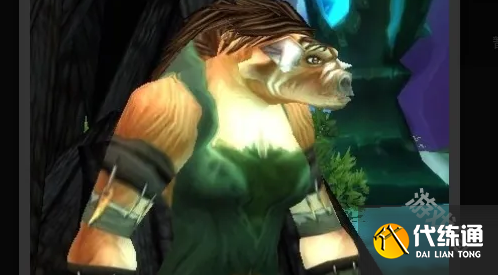 魔兽世界埃霍恩的碎片任务在哪提交