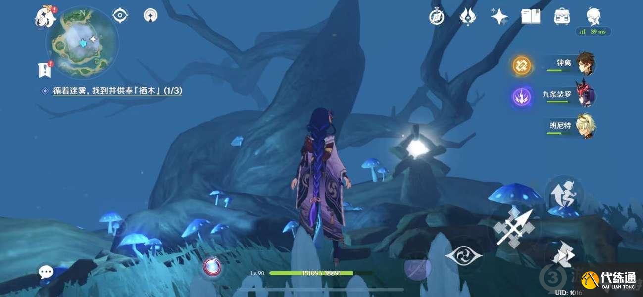 原神知比山栖木羽毛位置介绍 原神知比山羽毛地宫解密攻略