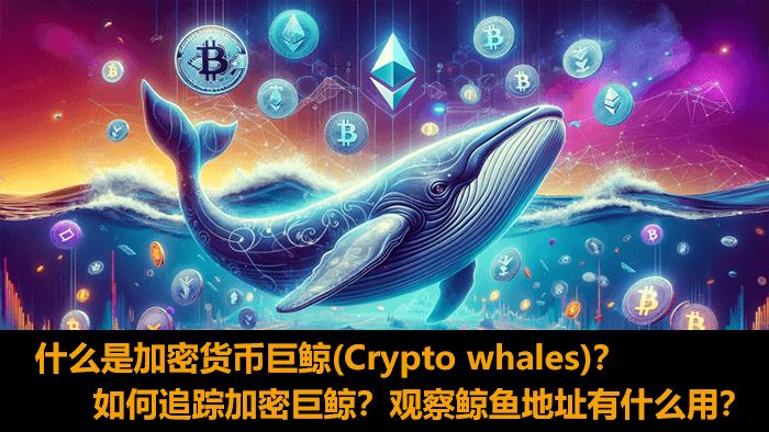 什么是加密巨鲸(Crypto?whales)?巨鲸都有谁?观察巨鲸地址有什么用?