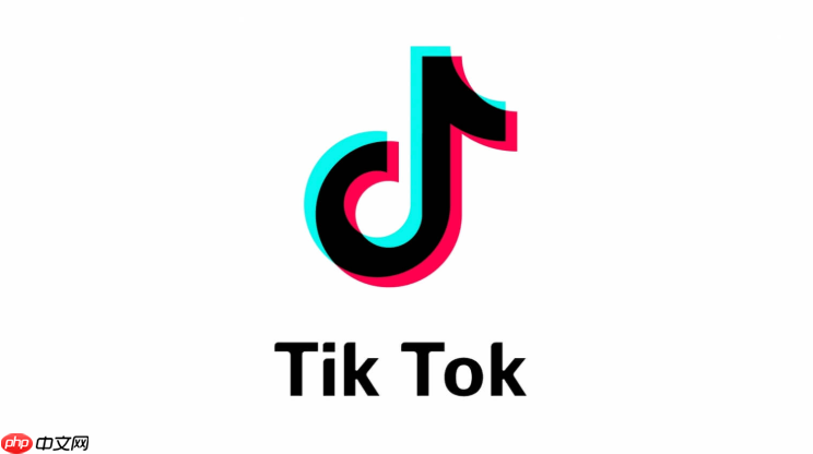 TikTok国际版在线入口直达 TikTok国际版官方登录地址