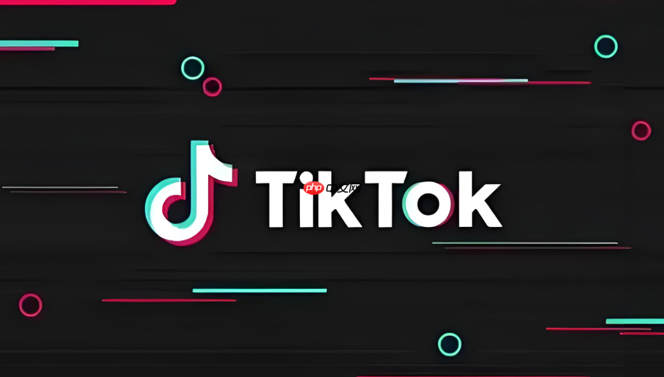 Tiktok官网入口网址  Tiktok官网入口链接