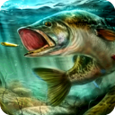 非洲虎鱼下载_终极钓鱼模拟器手机版v3.3最新版安卓版下载