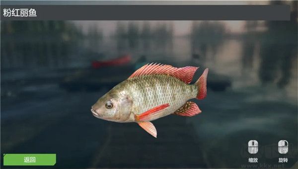 终极钓鱼模拟器无限金币版游戏攻略10