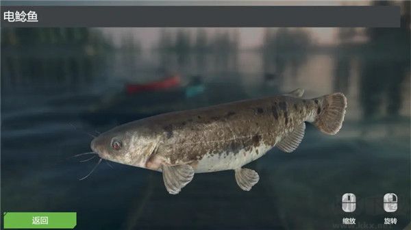 终极钓鱼模拟器无限金币版游戏攻略5