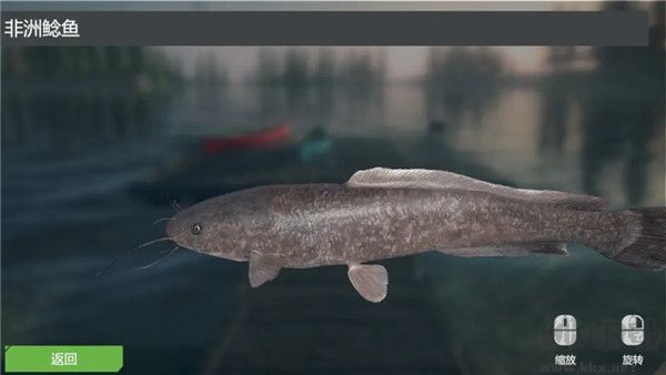 终极钓鱼模拟器无限金币版游戏攻略2