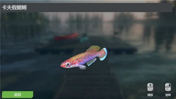 终极钓鱼模拟器无限金币版游戏攻略7