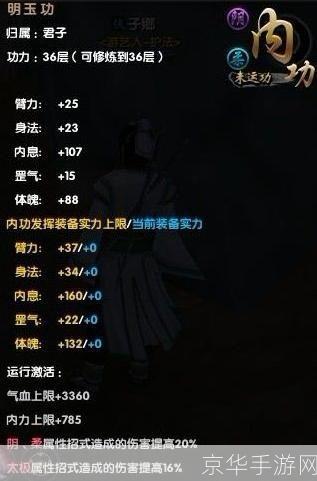 九阴真经唐门2内属性:九阴真经唐门2内属性深度解析