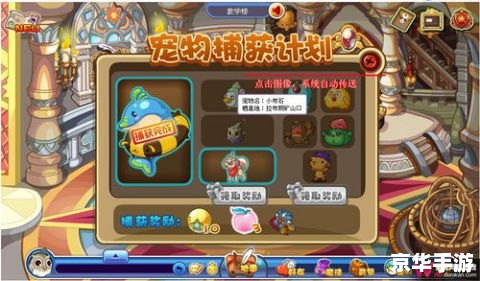 洛克王国宠物激活怎么玩 洛克王国宠物激活全攻略