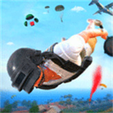 绝地求生单机版下载_绝地求生v1.0.15安卓版手机app下载