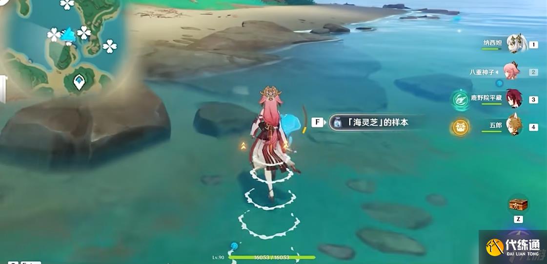 原神海灵芝位置在哪