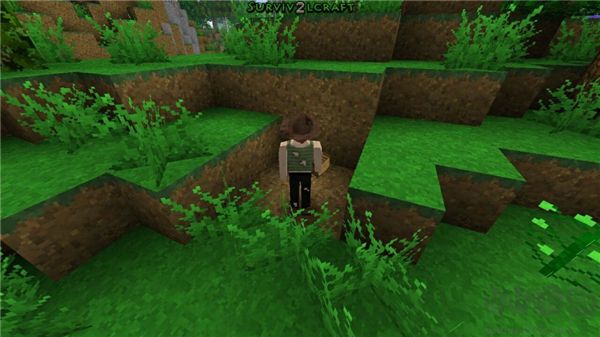 生存战争2免费正版