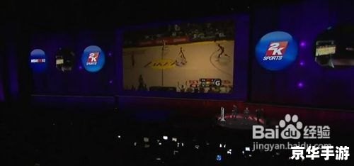 nba2k12mp修改器 「NBA 2K12 MP修改器」:游戏中的无限可能与风险