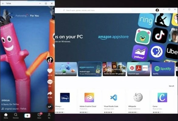 强行升级Win11后不能更新怎么办?电脑不能更新Win11的解决方法