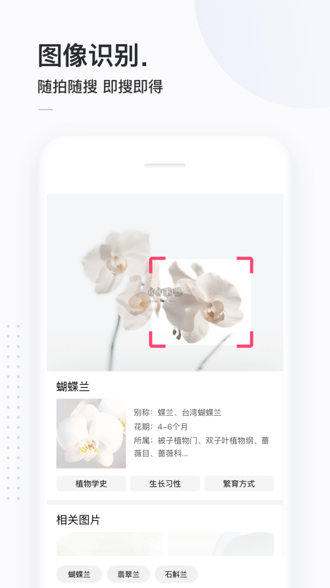 简单搜索下载_简单搜索app安卓版最新v3.9.5手机app下载