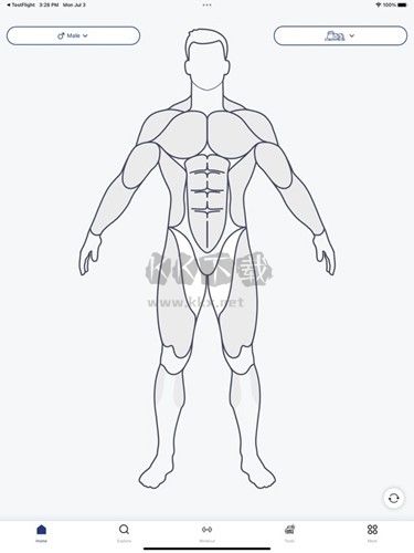 musclewiki官方版图片7