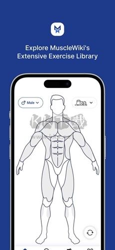 musclewiki下载_musclewiki(肌肉百科)v2.4.1中文版下载
