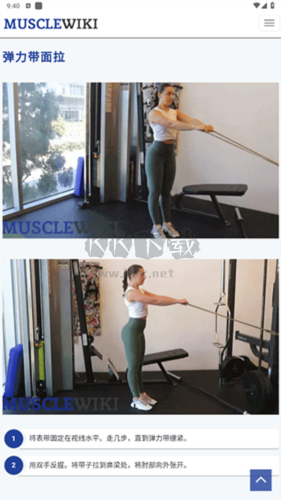 musclewiki官方版图片13