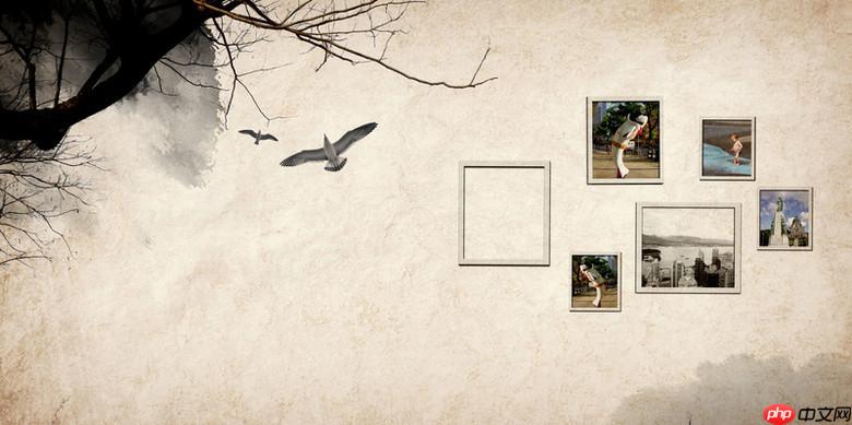 51个人空间相册登录入口_51个人空间相册登录官网最新地址