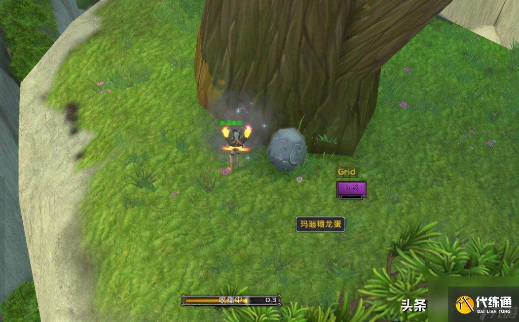 魔兽世界翔龙骑士团声望快速刷法(魔兽怀旧服翔龙骑士团声望速刷教程)「已分享」