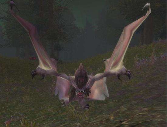 魔兽世界怀旧服蝙蝠宝宝哪里抓_魔兽世界怀旧服蝙蝠宝宝位置介绍 魔兽世界怀旧服蝙蝠宝宝哪里抓_魔兽世界怀旧服蝙蝠宝宝位置介绍