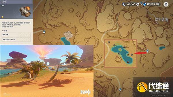 原神木材采集位置总览 不同种类的木头都在哪