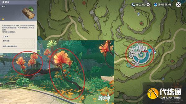 原神木材采集位置总览 不同种类的木头都在哪