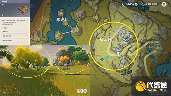原神木材采集位置总览 不同种类的木头都在哪