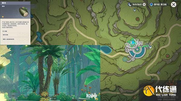 原神木材采集位置总览 不同种类的木头都在哪