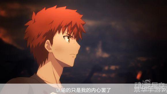 穿越之卫宫士郎:时空之旅与英雄使命