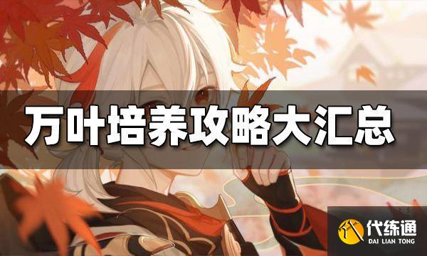 原神万叶培养攻略大汇总 万叶培养攻略合集