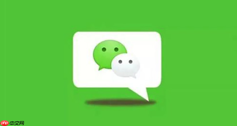 微信网页版入口 微信网页版登录入口