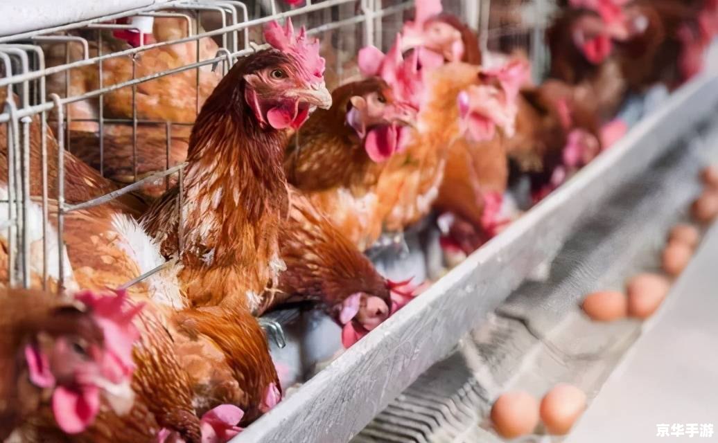 穿越火线登陆超时:游戏内外因素与解决方案 穿越火线登陆超时:游戏内外因素与解决方案