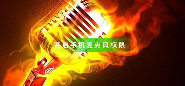 如何开启手机麦克风权限?开启手机麦克风权限方法