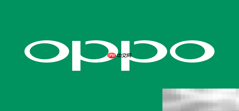 oppo官网登录入口(官网首页地址链接)