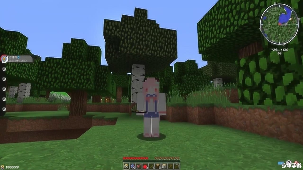 我的世界上界 探索上界:我的世界的无尽之旅 我的世界上界 探索上界:我的世界的无尽之旅