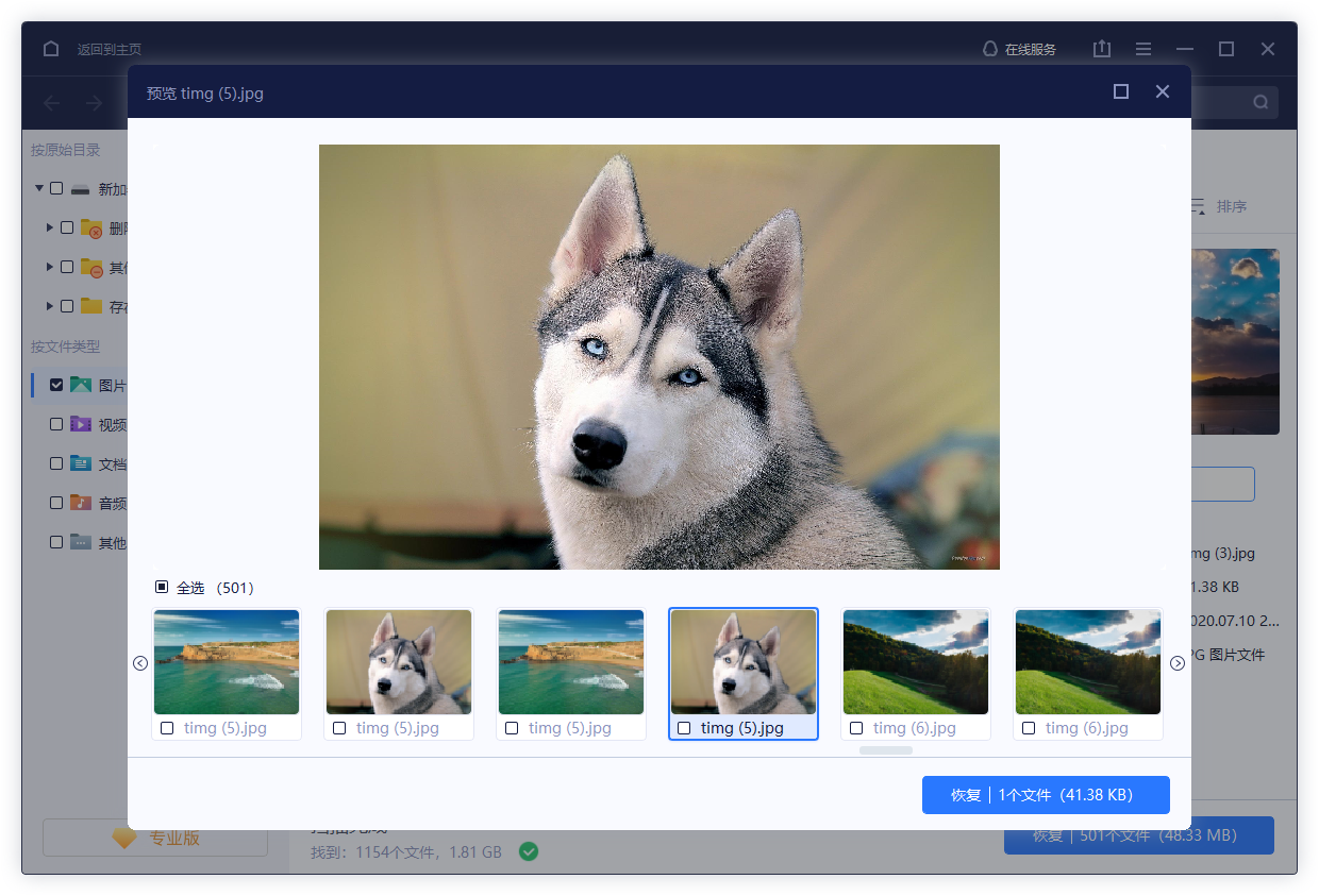筛选文件类型并恢复图片