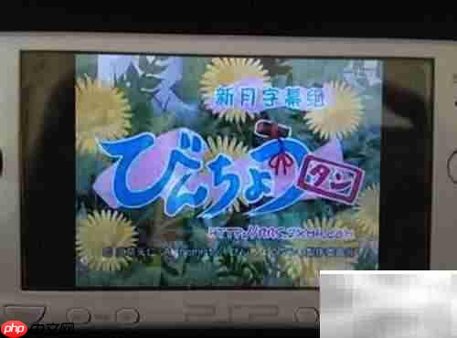 PSP看视频方法指南