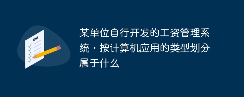 某单位自行开发的工资管理系统，按计算机应用的类型划分属于什么