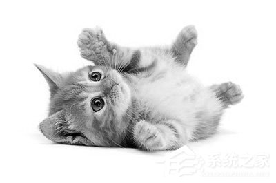 PS怎么做素描画效果?PS做素描画效果的方法