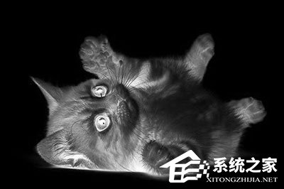 PS怎么做素描画效果?PS做素描画效果的方法