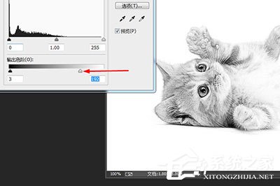 PS怎么做素描画效果?PS做素描画效果的方法