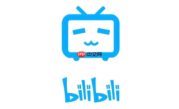 b站怎么查看自己的观看历史_B站历史播放记录查询方法