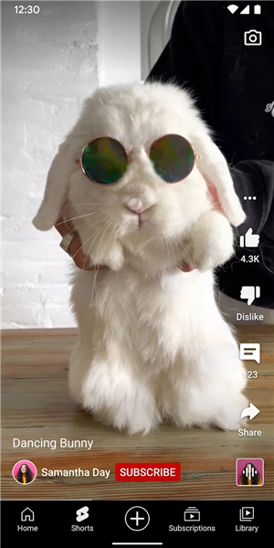 youtube中文下载_YouTube中文版推荐下载