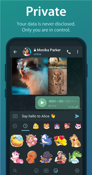 telegeram官网下载_Telegeram官方版安卓版下载