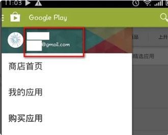 googleplay